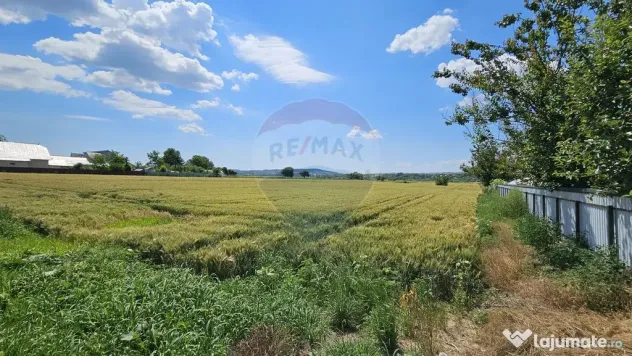 Teren 15,000mp Salcea-Prelipca, Suceava