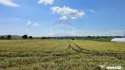 Teren 15,000mp Salcea-Prelipca, Suceava
