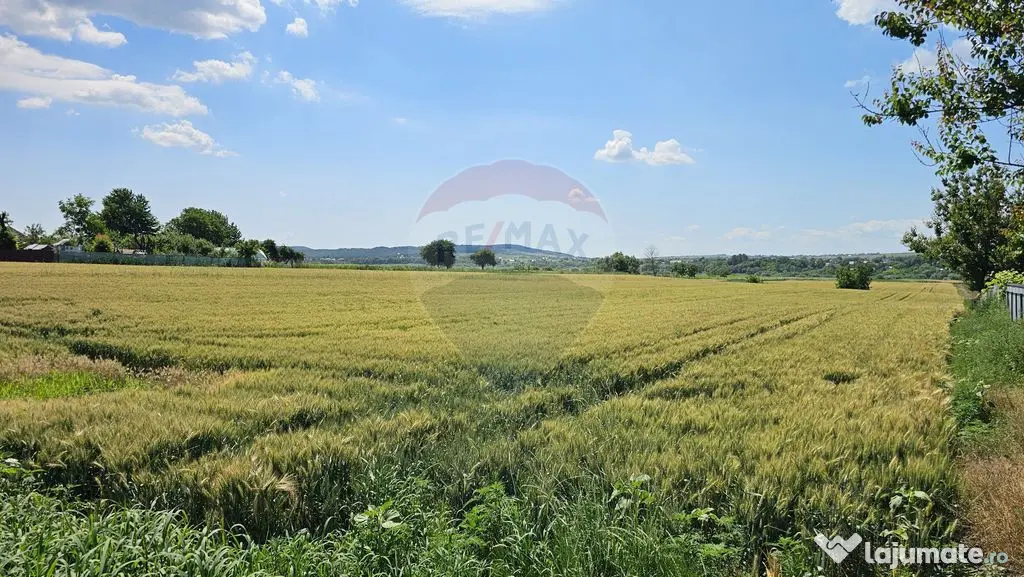 Teren 15,000mp Salcea-Prelipca, Suceava