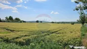 Teren 15,000mp Salcea-Prelipca, Suceava