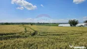 Teren 15,000mp Salcea-Prelipca, Suceava