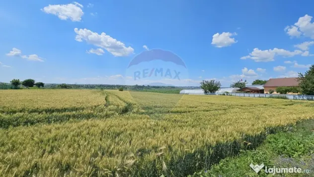 Teren 15,000mp Salcea-Prelipca, Suceava