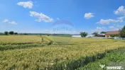 Teren 15,000mp Salcea-Prelipca, Suceava