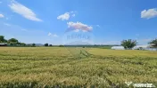 Teren 15,000mp Salcea-Prelipca, Suceava