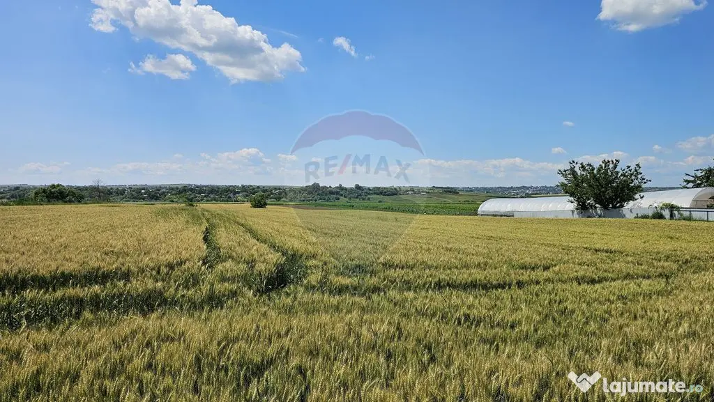 Teren 15,000mp Salcea-Prelipca, Suceava
