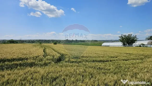 Teren 15,000mp Salcea-Prelipca, Suceava