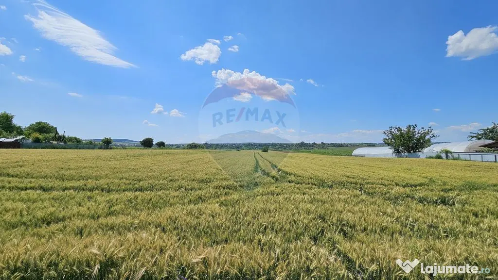 Teren 15,000mp Salcea-Prelipca, Suceava