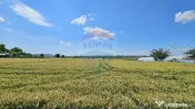 Teren 15,000mp Salcea-Prelipca, Suceava