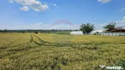 Teren 15,000mp Salcea-Prelipca, Suceava 