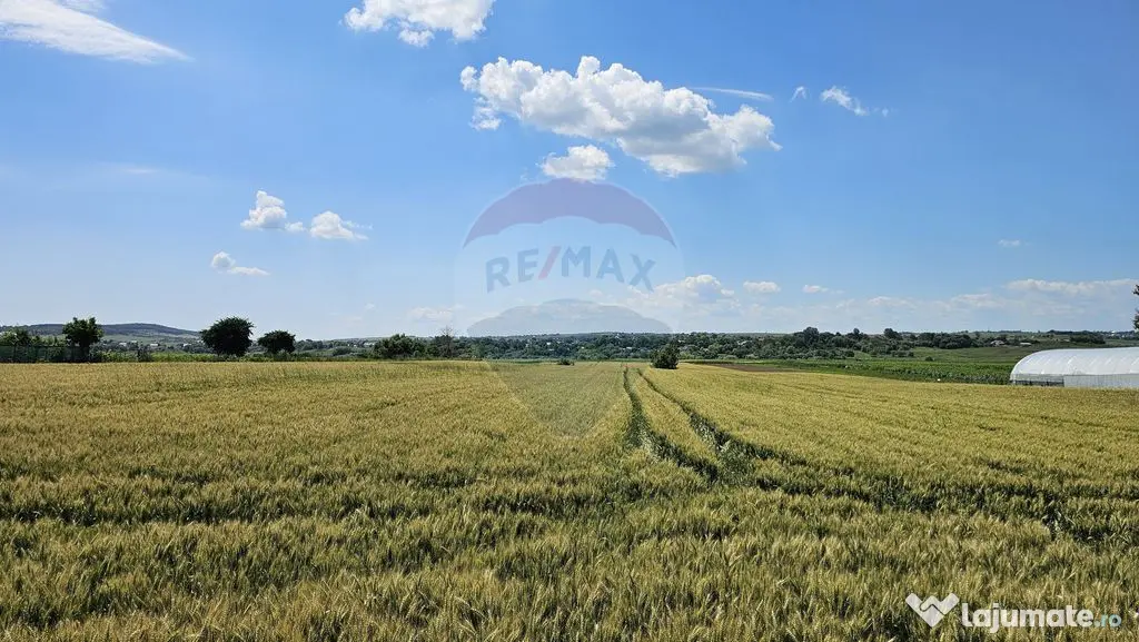 Teren 15,000mp Salcea-Prelipca, Suceava