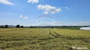 Teren 15,000mp Salcea-Prelipca, Suceava