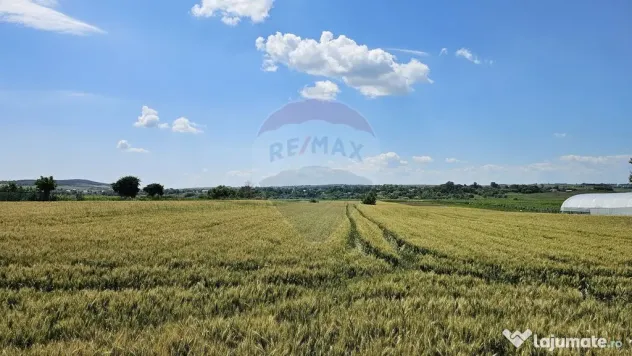 Teren 15,000mp Salcea-Prelipca, Suceava