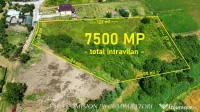 TEREN 7500 MP, PRETABIL DEZVOLTARE REZIDENTIALA