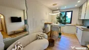 Floreasca Compozitori Apartament Modern