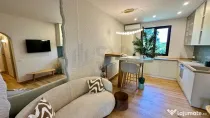 Floreasca Compozitori Apartament Modern