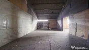 Hală industrială de 221 mp utili in Cadăș 