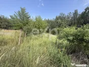 Teren 1963 mp de vânzare în Topoloveni | Zonă liniștită 