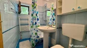 Vila Spatioasa in Zona Expozitiei 5 Camere Curte si Garaj 