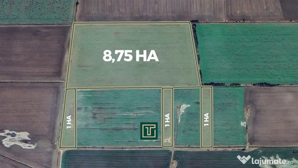 Teren agricol de 11,75 ha de vânzare, la 1,5 km de Turnu, j