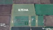 Teren agricol de 11,75 ha de vânzare, la 1,5 km de Turnu, j 