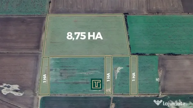 Teren agricol de 11,75 ha de vânzare, la 1,5 km de Turnu, j