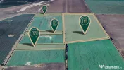 Teren agricol de 11,75 ha de vânzare, la 1,5 km de Turnu, j 