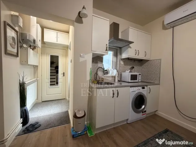 PARCUL CAROL - Viilor | Chirie Casa 2 Camere