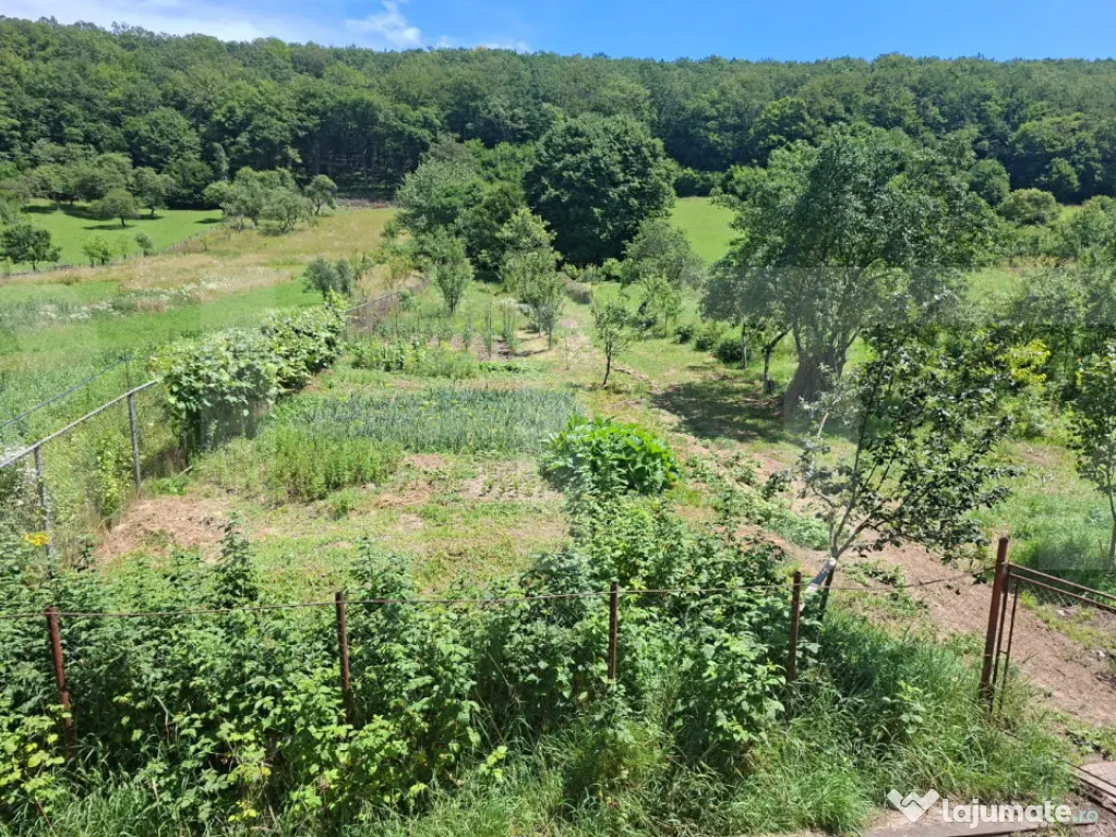 Casa spatioasa in Valcele, aproape de natura, teren 4500mp