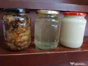Vând miere de albine , propolis 