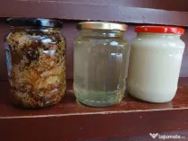 Vând miere de albine , propolis