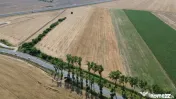 Teren Stefanesti I Investitie