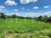 Teren intravilan, 4000mp, Lisaura, Suceava