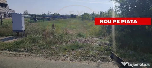 Teren de vanzare in Comuna Bradu – 1.374 mp | Deschidere 1