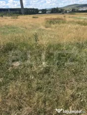 Teren intravilan de vanzare, cartier Dumbrava Nord 