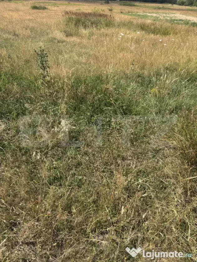 Teren intravilan de vanzare, cartier Dumbrava Nord - Zalau (Salaj)