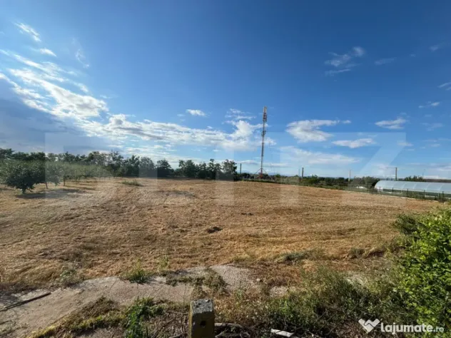 Loturi de teren intravilan de vânzare – Racovița, județ