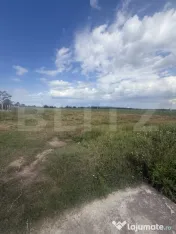 Vânzare teren intravilan 1.000 mp | Priseaca, Târgoviște