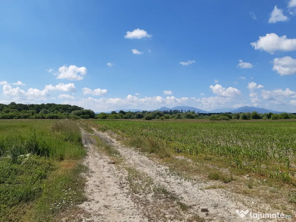 Teren agricol extravilan Podu Oltului la limita UAT Harman si UAT Prejmer