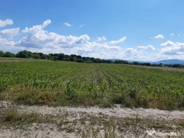 Teren agricol extravilan Podu Oltului la limita UAT Harman si UAT Prejmer