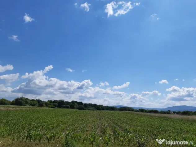 Teren agricol extravilan Podu Oltului la limita UAT Harman si UAT Prejmer