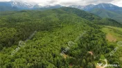 Teren intravilan in Porumbacu de Sus 