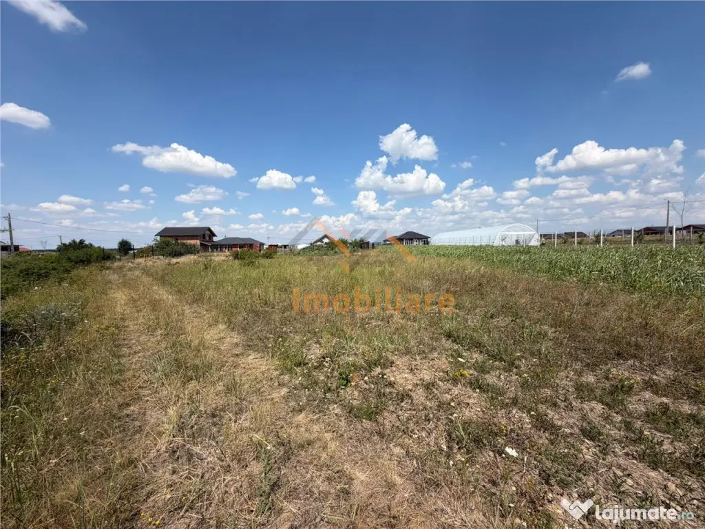 TEREN INTRAVILAN | 1044 MP | CIHEI | BIHOR