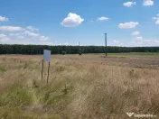 Loturi teren Intravilan/Extravilan 609+92mp, Pielesti,pădure, Craiova