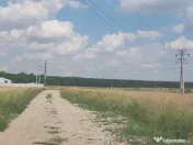 Loturi teren Intravilan/Extravilan 609+92mp, Pielesti,pădure, Craiova