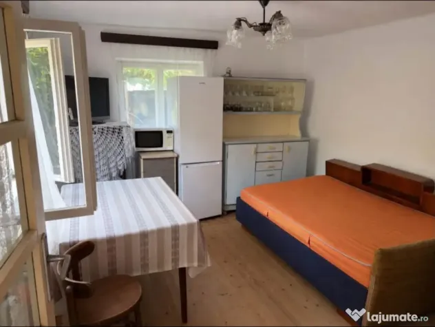 CASA SPATIOASA CU TEREN 1300MP, BALS OLT