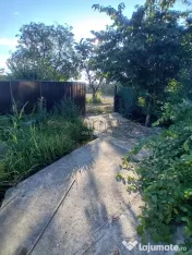 Oportunitate de investitie! Casa in Dealu Viei – Merei/BZ ~ teren 700m