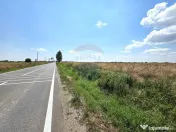 Teren 2,461mp Scurtesti / autostrada A7