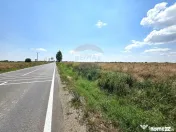 Teren 2,461mp Scurtesti / autostrada A7 