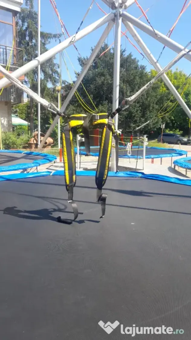 bungee jumping elvetian