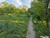 Casă cu 4 camere, mobilată, Mosteni, 35000 EUR 